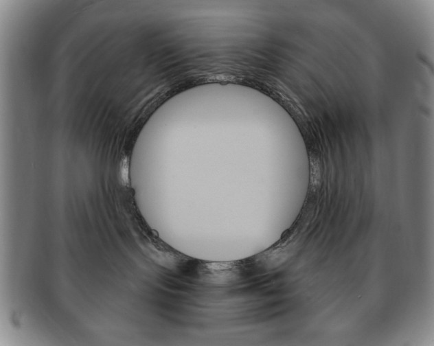 X0000091640095200708230958