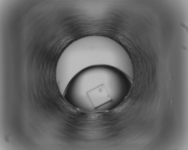 X0000091640096200708230958