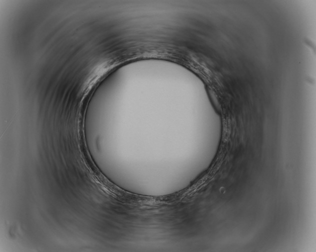 X0000091640098200708230957