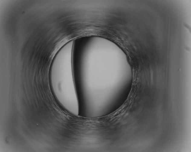 X0000091640099200708230957