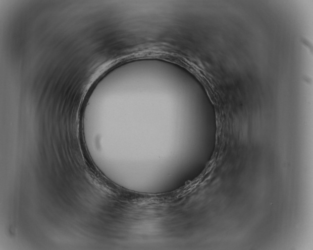 X0000091640100200708230957