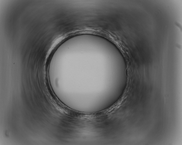 X0000091640102200708230957