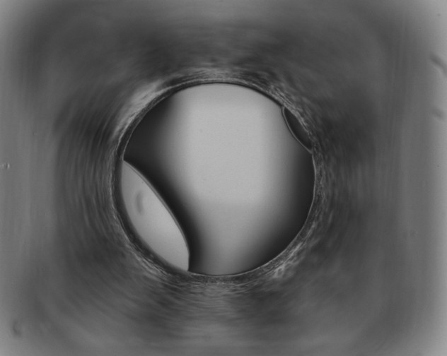 X0000091640103200708230957