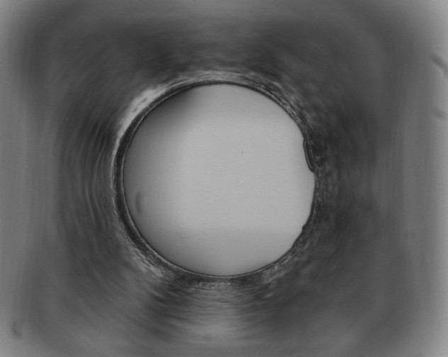 X0000091640104200708230957