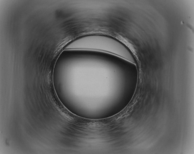 X0000091640105200708230957