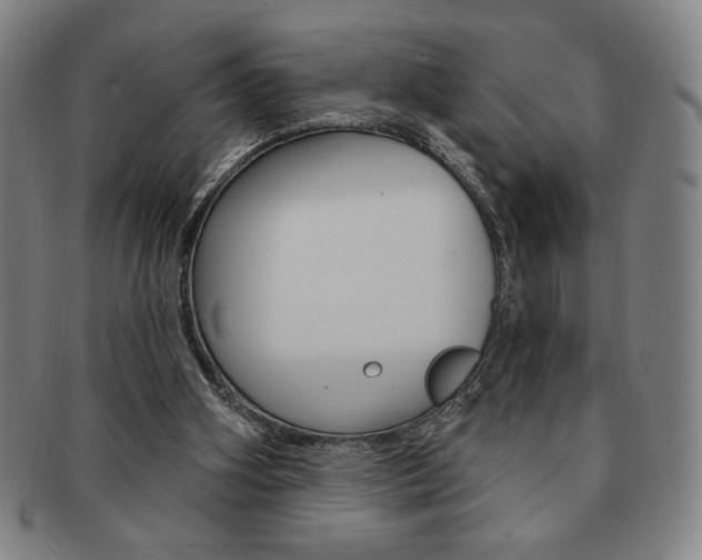 X0000091640106200708230957
