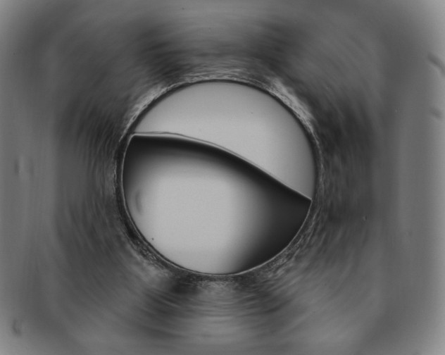 X0000091640107200708230957