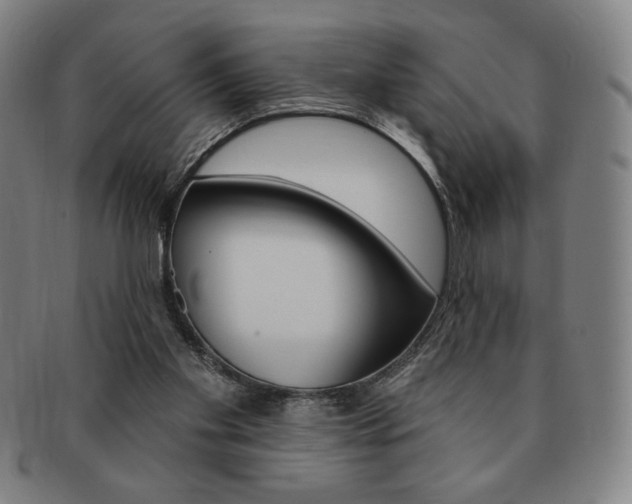 X0000091640109200708230957