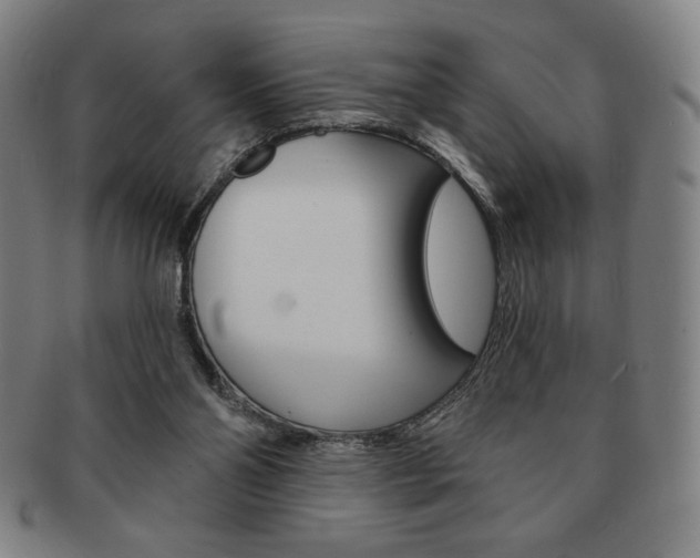 X0000091640110200708230957