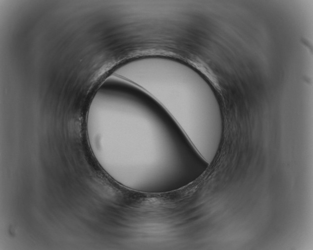 X0000091640111200708230957