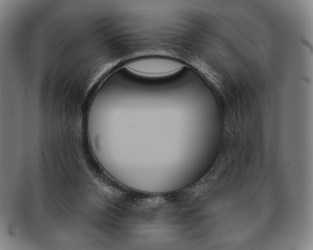 X0000091640112200708230957