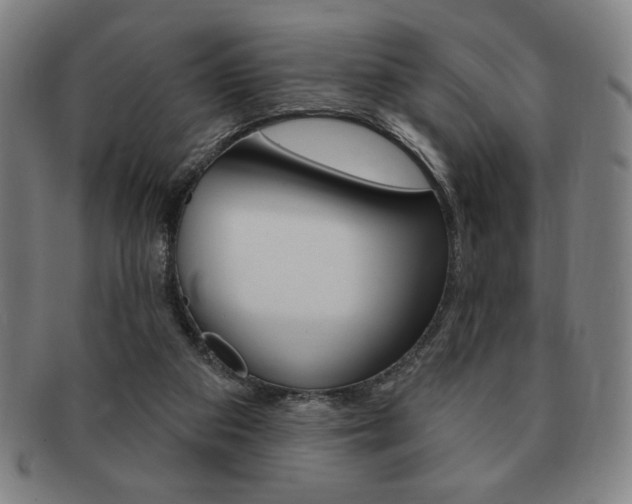 X0000091640113200708230957