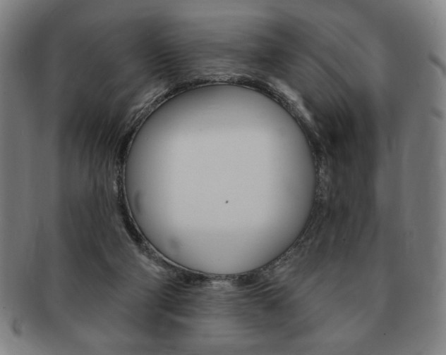 X0000091640114200708230957