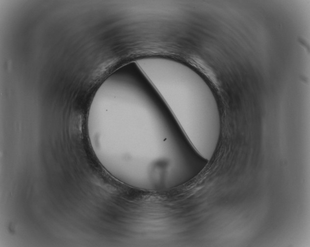 X0000091640115200708230957