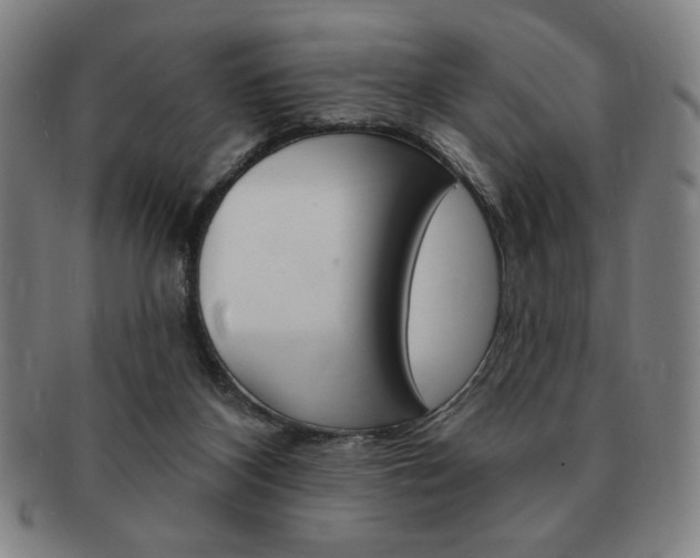 X0000091640116200708230957