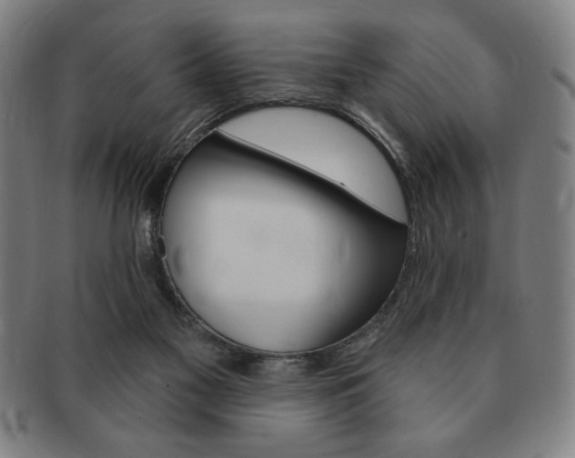 X0000091640117200708230957
