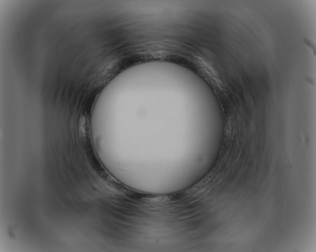 X0000091640122200708230957