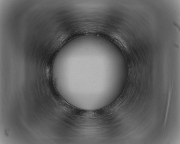 X0000091640123200708230957
