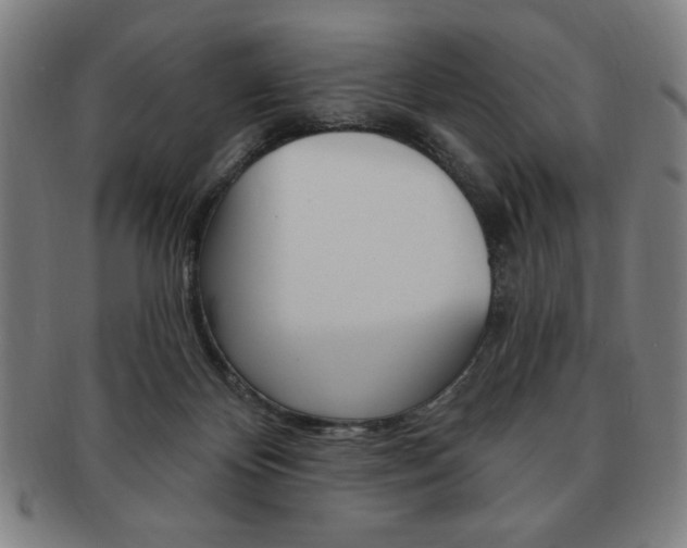 X0000091640124200708230957