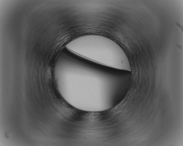 X0000091640128200708230957