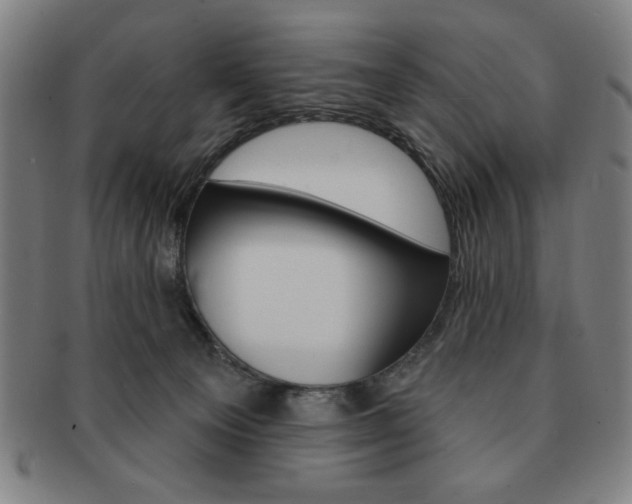 X0000091640129200708230957
