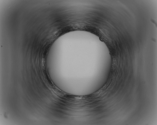X0000091640130200708230957