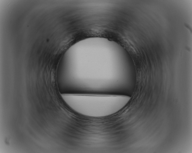 X0000091640131200708230957