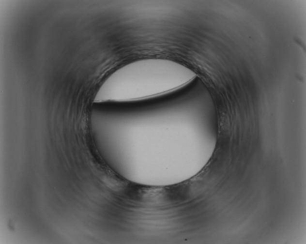 X0000091640132200708230957