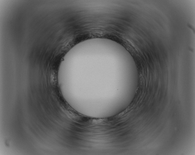 X0000091640134200708230956