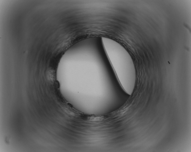 X0000091640135200708230956