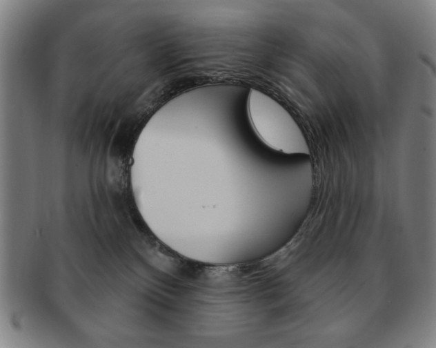 X0000091640136200708230956