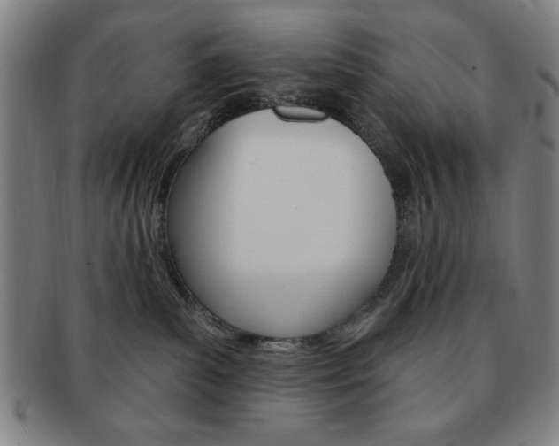 X0000091640139200708230956