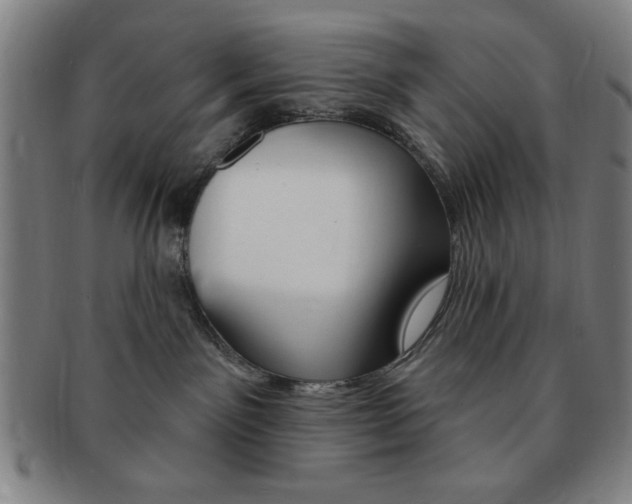X0000091640141200708230956