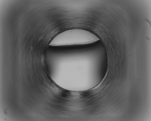 X0000091640144200708230956
