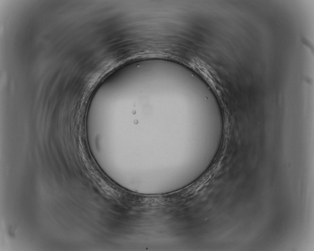 X0000091640145200708230956