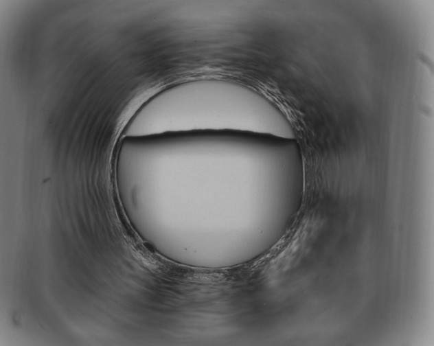 X0000091640147200708230956