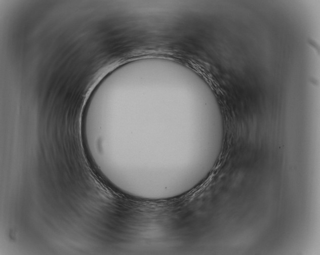 X0000091640148200708230956