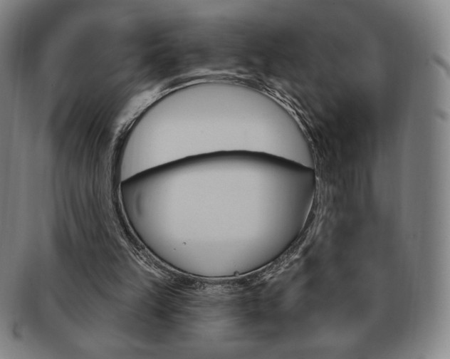 X0000091640149200708230956