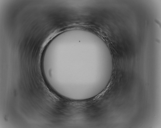 X0000091640150200708230956
