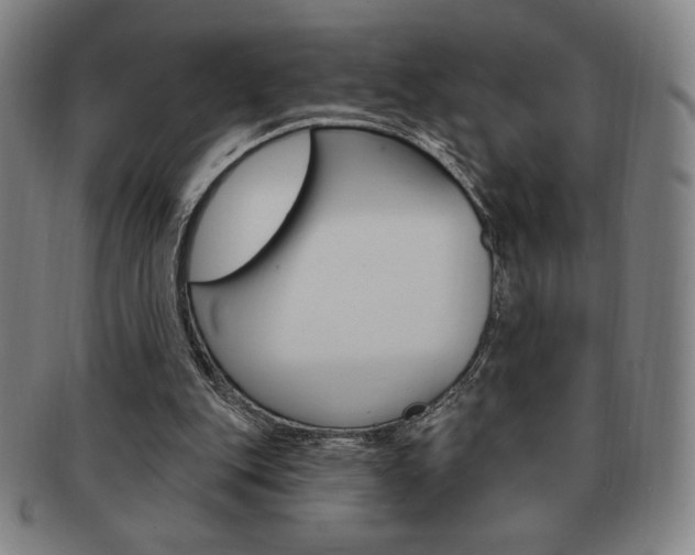 X0000091640151200708230956