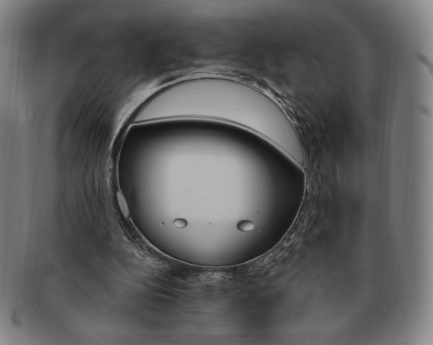 X0000091640152200708230956