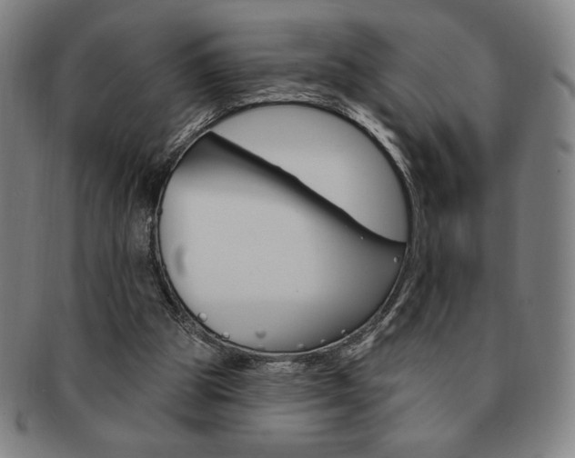 X0000091640153200708230956