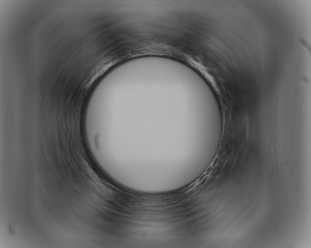 X0000091640154200708230956