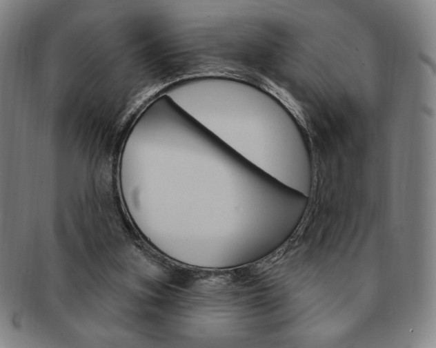 X0000091640155200708230956