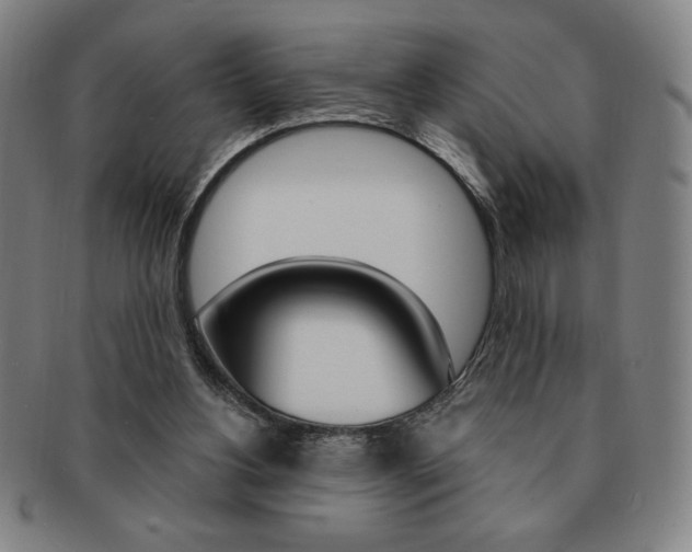 X0000091640156200708230956