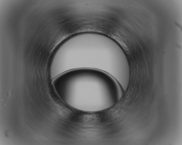 X0000091640160200708230956