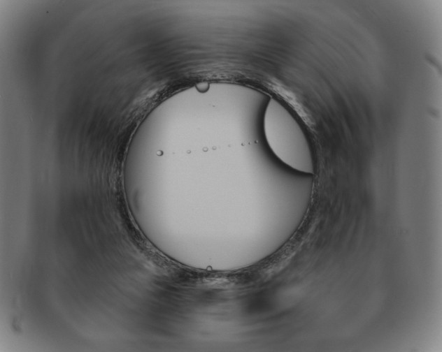 X0000091640161200708230956