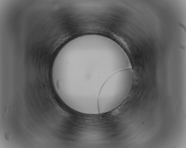 X0000091640162200708230956