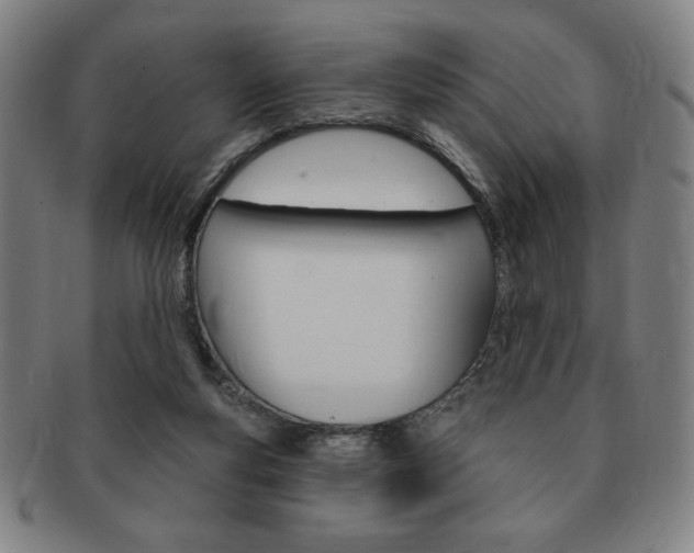 X0000091640163200708230956
