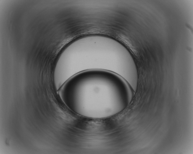 X0000091640164200708230956